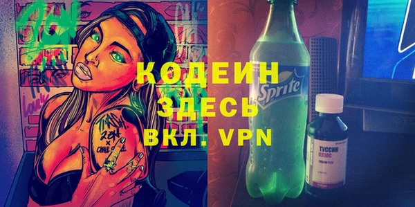 крисы Абаза