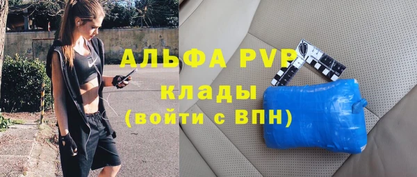 крисы Абаза