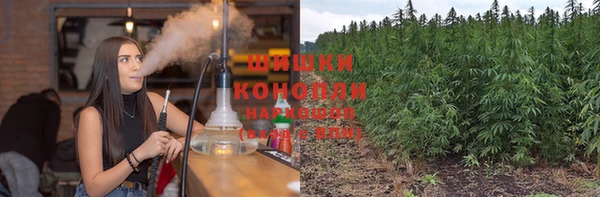 крисы Абаза