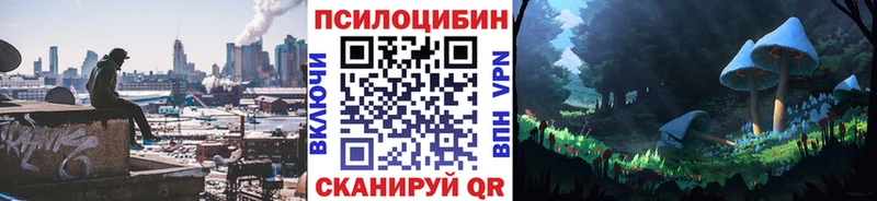 Псилоцибиновые грибы Magic Shrooms  Елизаветинская 